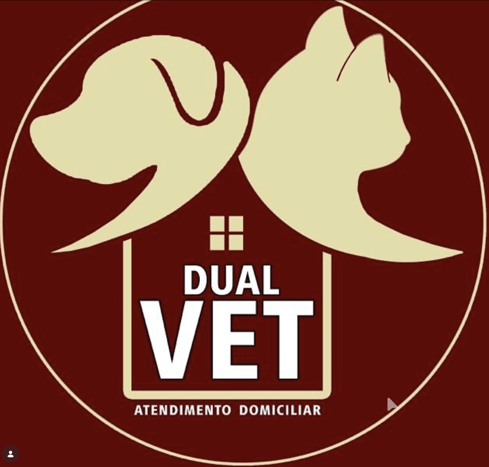 Logo dualvet_viagempet